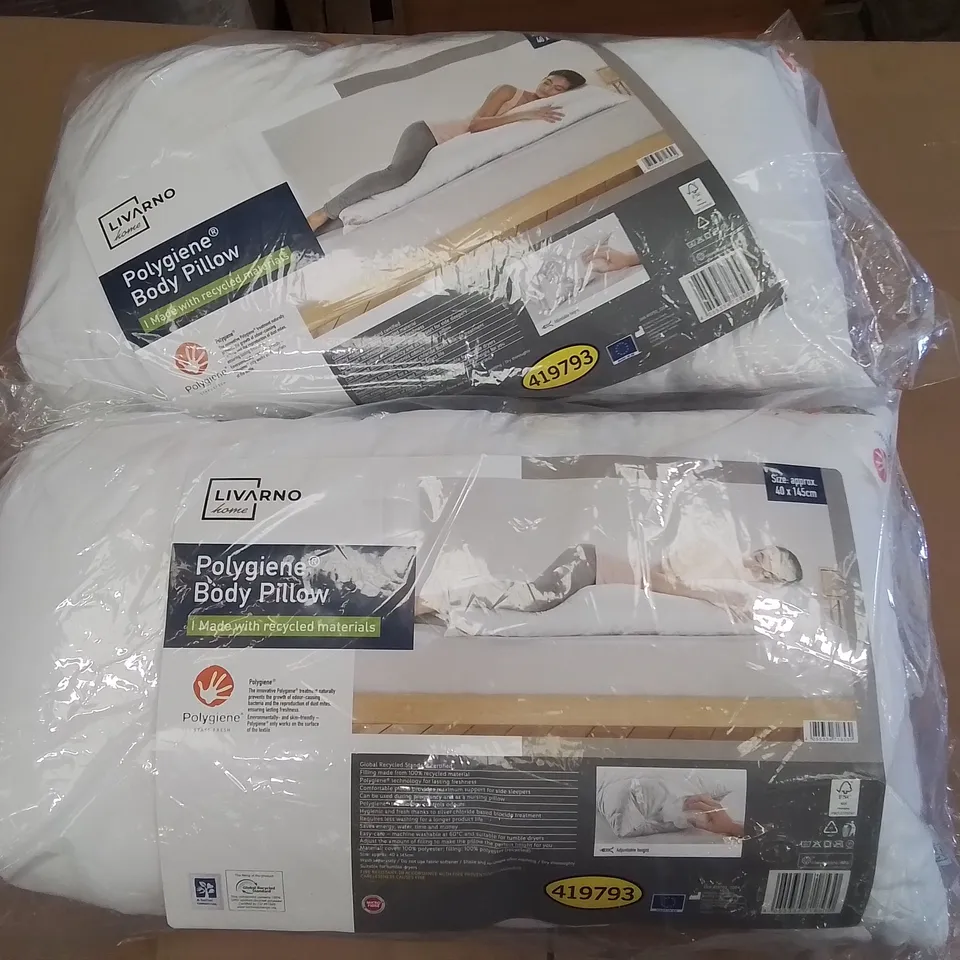 TWO LARGE BOXES OF ASSORTED BAGGED AND LOOSE PILLOWS 