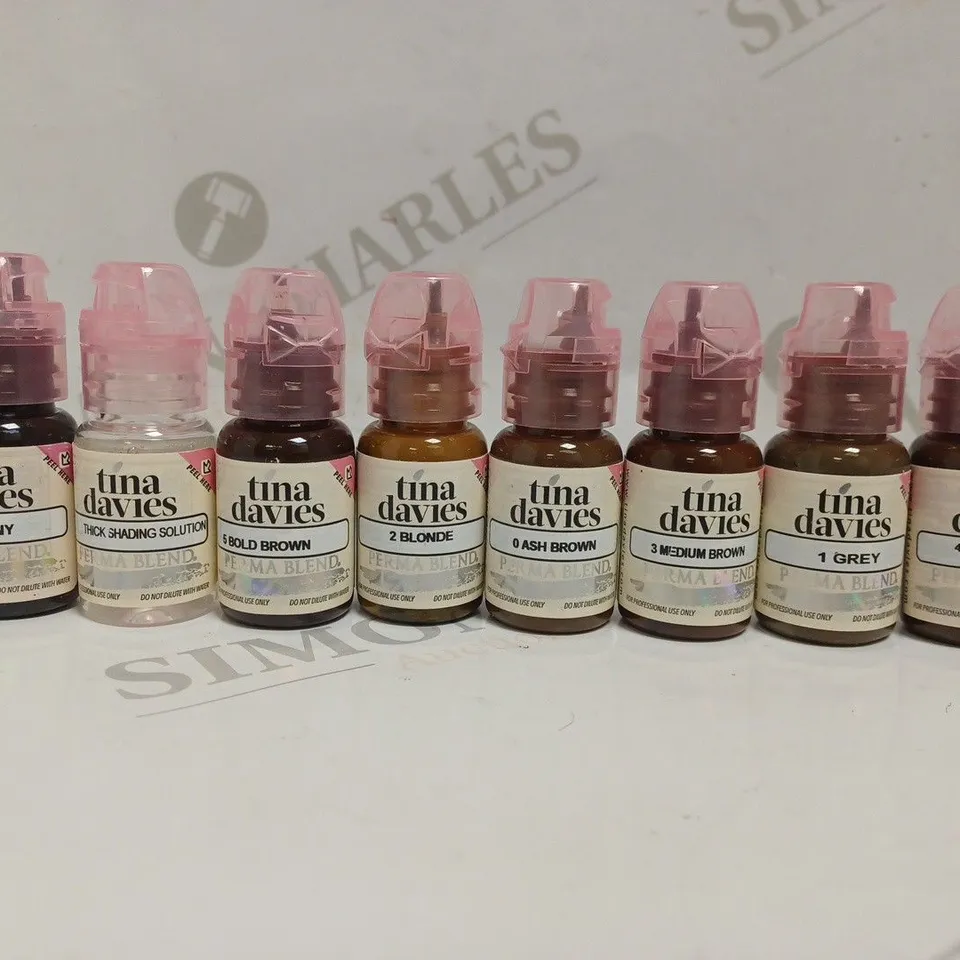 BOXED PIGMENTS TINE DAVIES X PERMABLEND EYEBROW COLLECTION. 