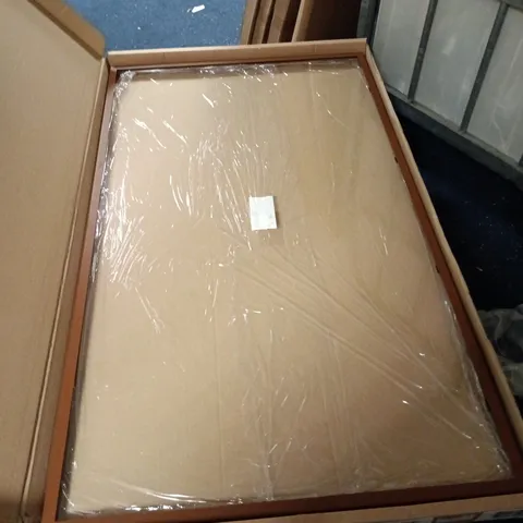 BOXED SPARE OVERLAY 55" PG OMC 