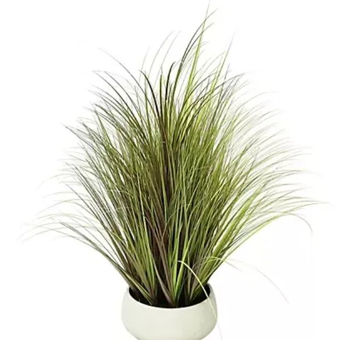 K BY KELLY HOPPEN INDOOR OUTDOOR PRE-LIT LOMANDRA GRASS W/CEMENT POT