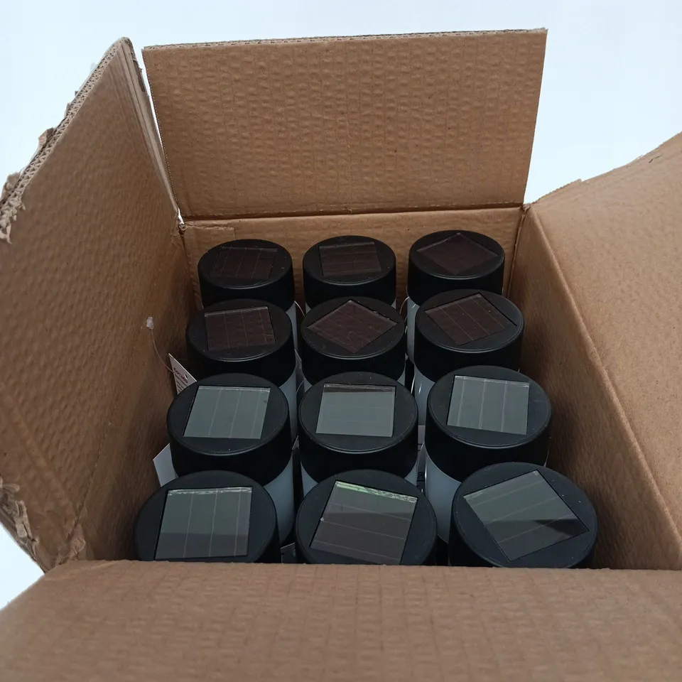 COTSCO SOLAR GARDEN PATHWAY LIGHTS SET OF 12 BOXED