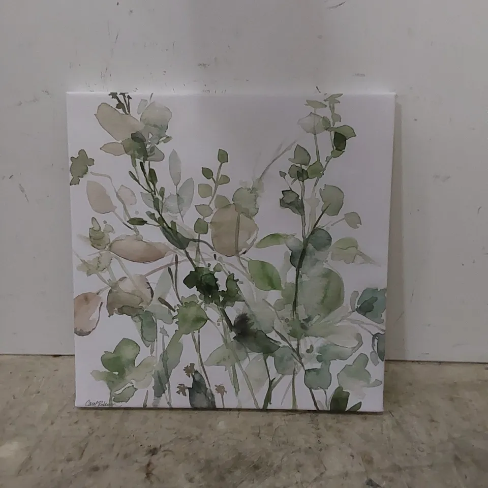 SAGE GARDEN II BY CAROL ROBINSON - WRAPPED CANVAS 