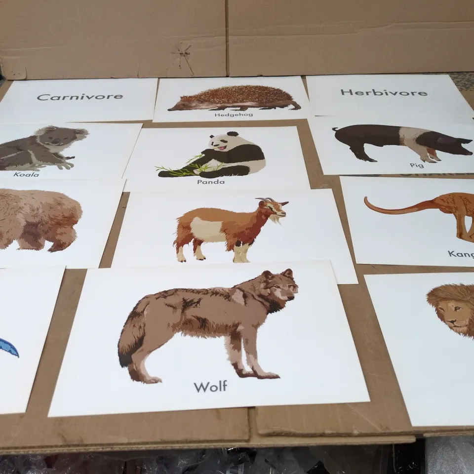 APPROXIMATELY 20 PACKS OF CARNIVORE,HERBIVORE AND OMNIVORE ACTIVITY CARDS  (BRAND NEW)