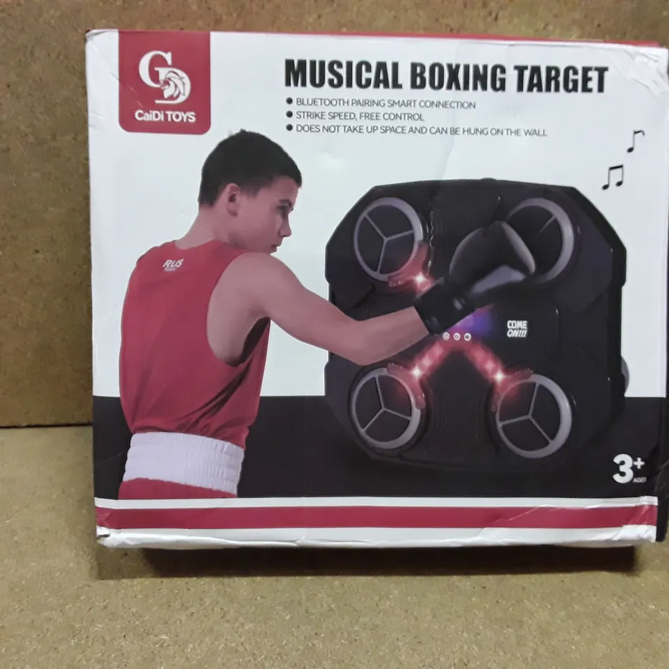 BOXED CAIDI TOYS MUSICAL BOXING TARGET 