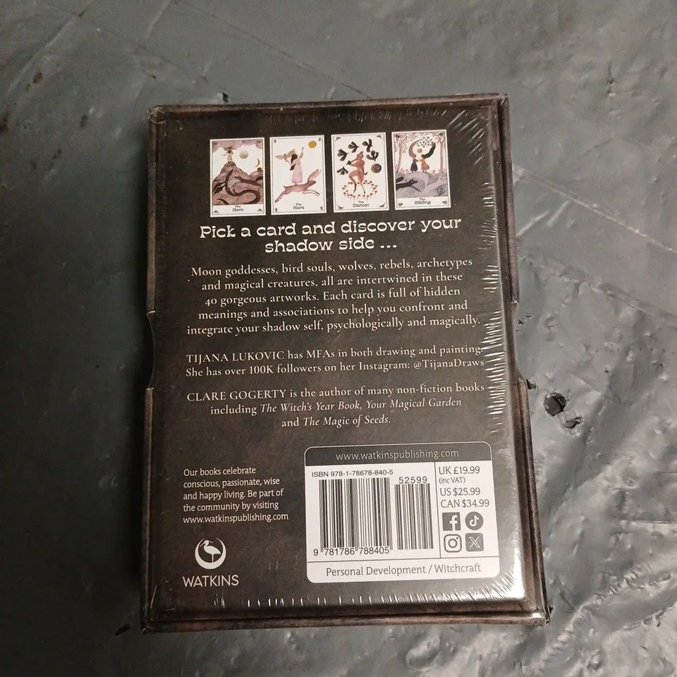 SEALED THE WITCH'S SHADOW WORK ORACLE CARD DECK