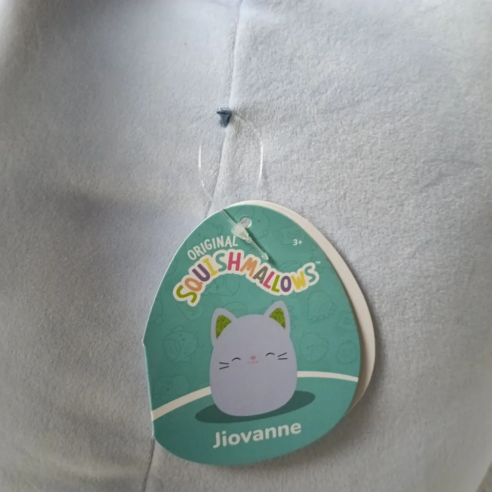 SQUISHMALLOWS PLUSH CAT – JIOVANE
