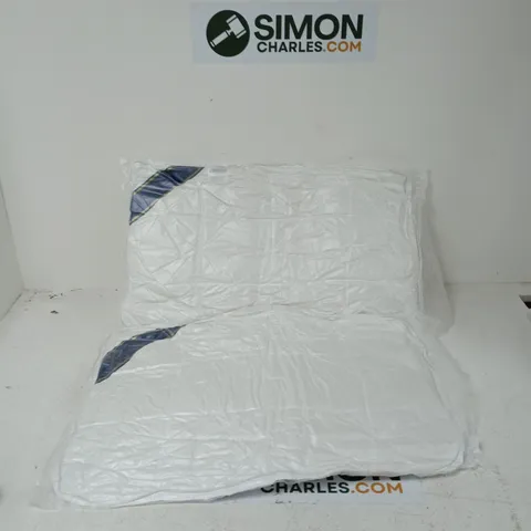 2X BED PILLOWS