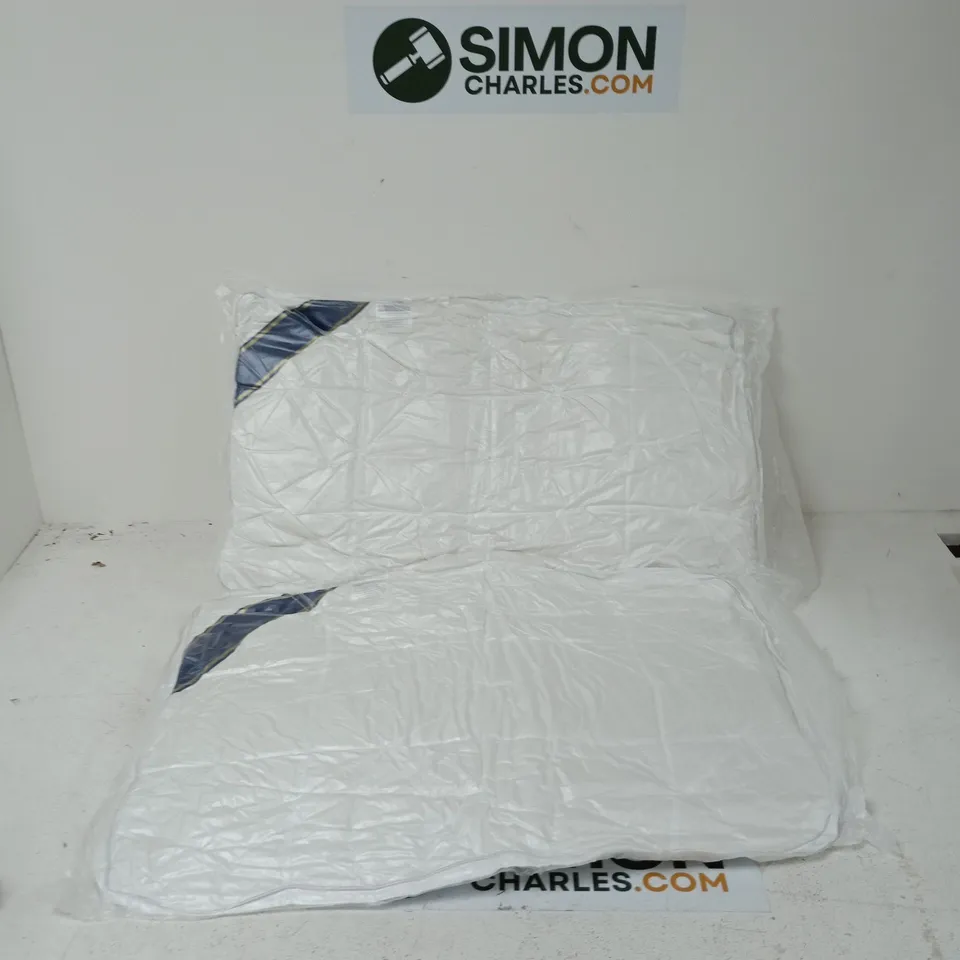 2X BED PILLOWS