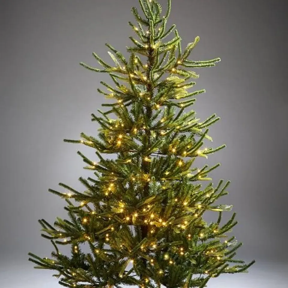 BOXED 7FT FRASER FIR UPSWEPT PRE-LIT MIXED TIPS CHRISTMAS TREE - COLLECTION ONLY RRP £209.99