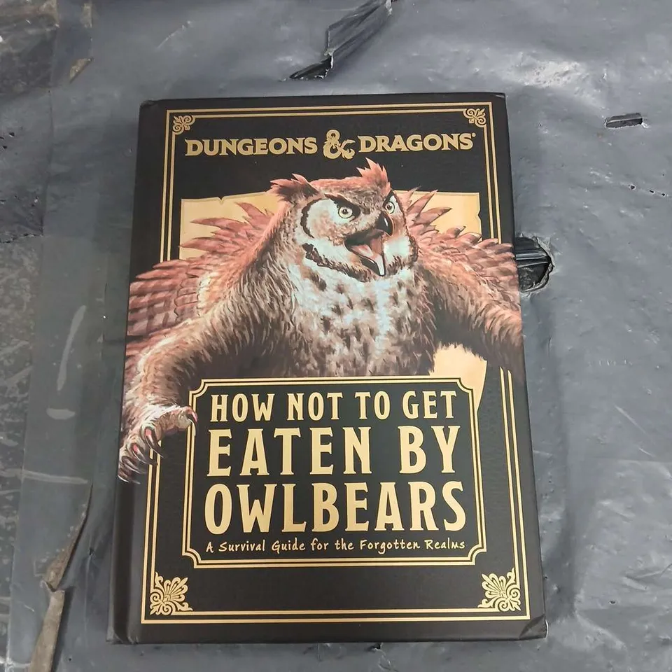 D&D HOW NOT TO GET EATEN BY OWLBEARS 