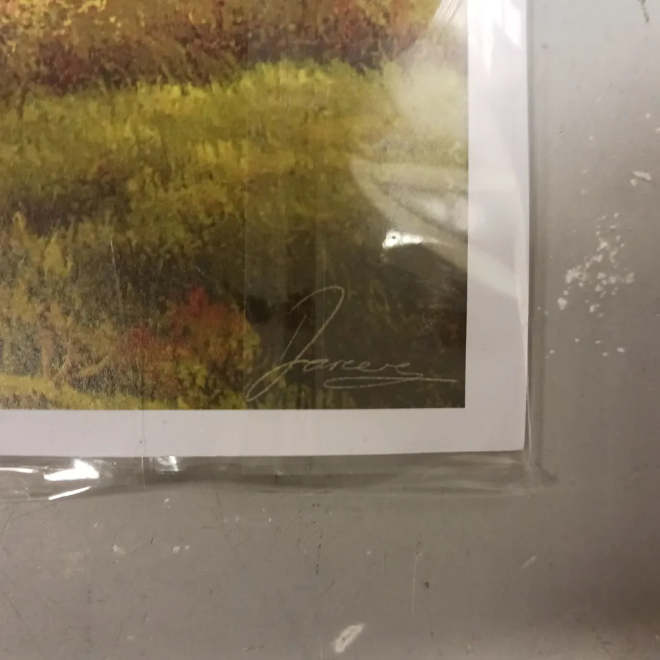 SIGNED HARRY POTTER FLYING CAR ART PRINT