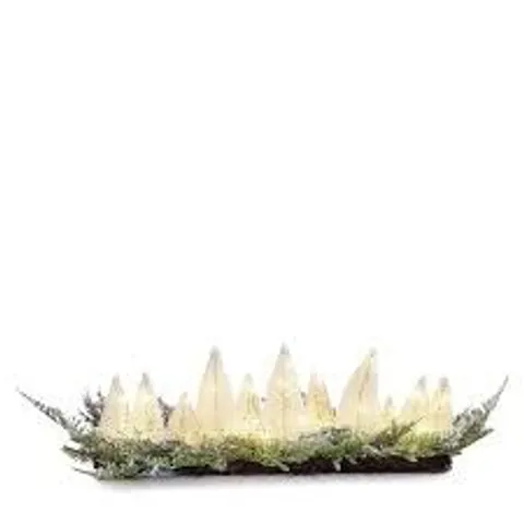 home stories bottle brush tree