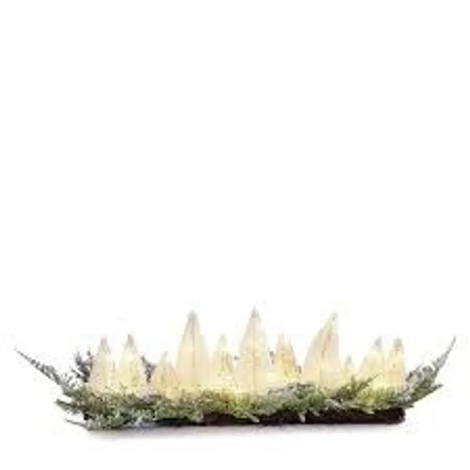 home stories bottle brush tree