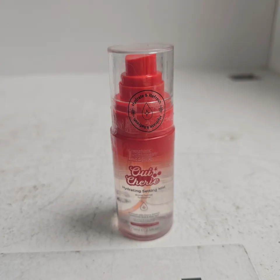 THE BEAUTY CROP HYDRATING SETTING MIST – PINK GRADIENT BOTTLE