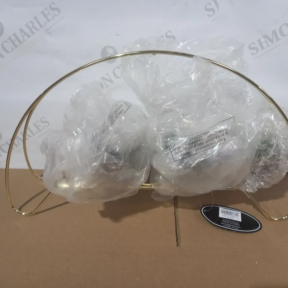 HESTIA TRIO SUCCULENT PLANTS IN GOLD EFFECT FRAME RRP £40