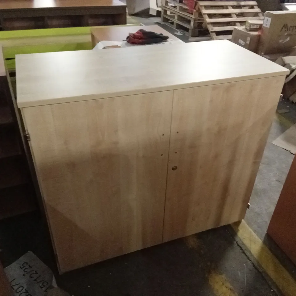 LARGE 2-DOOR STORAGE CABINET