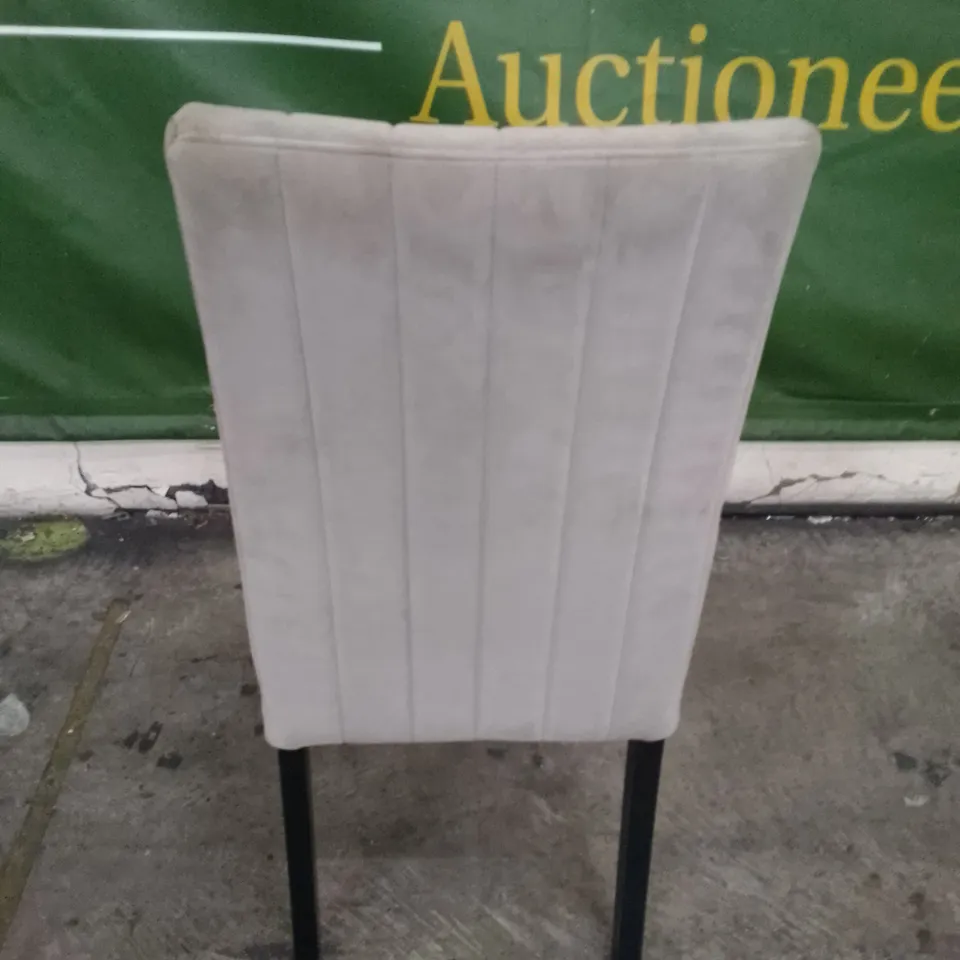 SALISBURY CHAMPAGNE VELVET DINING CHAIR WITH BLACK LEG