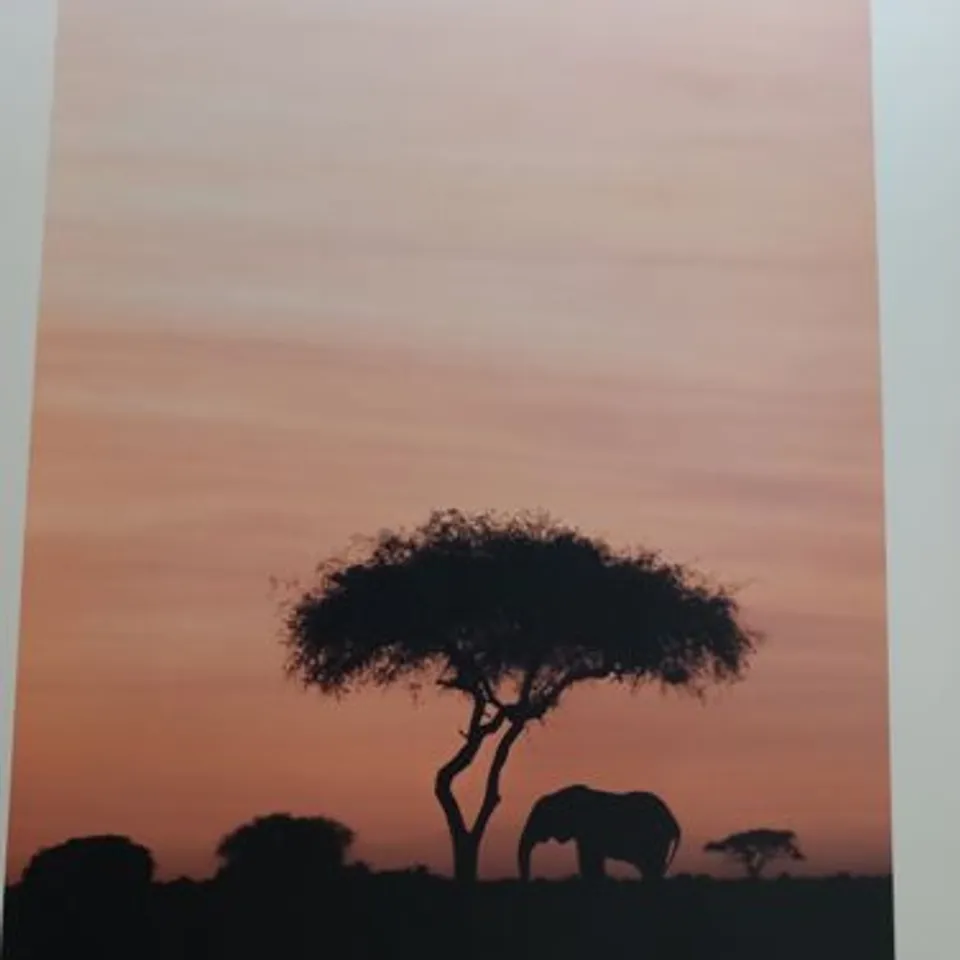 SEVEN AFRICAN INSPIRED PRINTS TO INCLUDE; MALE LION, ELEPHANT, ELEPHANT WITH CHILD AND TRIBL PATTERNS