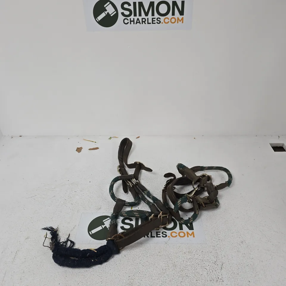 HORSE TACK: LEATHER BRIDLE AND REINS SET WITH GREEN BRAIDED STRAPS (USED)