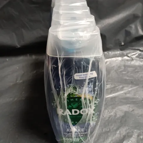 RADOX FEEL AWAKE 6 X 450ML PACK