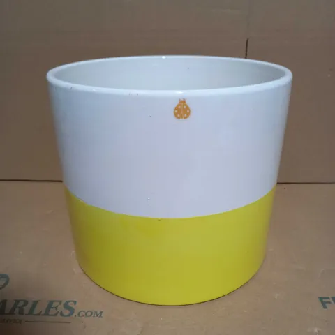 BUNDLEBERRY BY AMANDA HOLDEN DECORATIVE FAUX PLANT