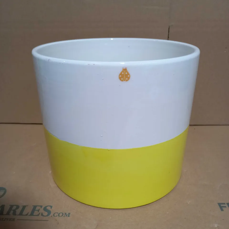BUNDLEBERRY BY AMANDA HOLDEN DECORATIVE FAUX PLANT