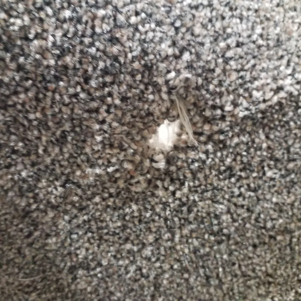 QUALITY DESIGNER AREA RUG - APPROXIMATELY 45×120CM