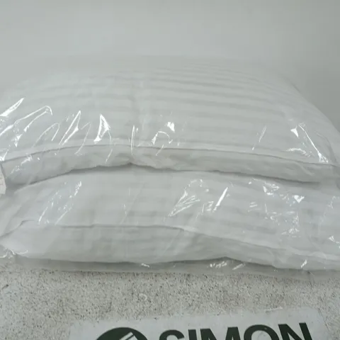 BAGGED PAIR OF LUXURY STRIPED PILLOWS