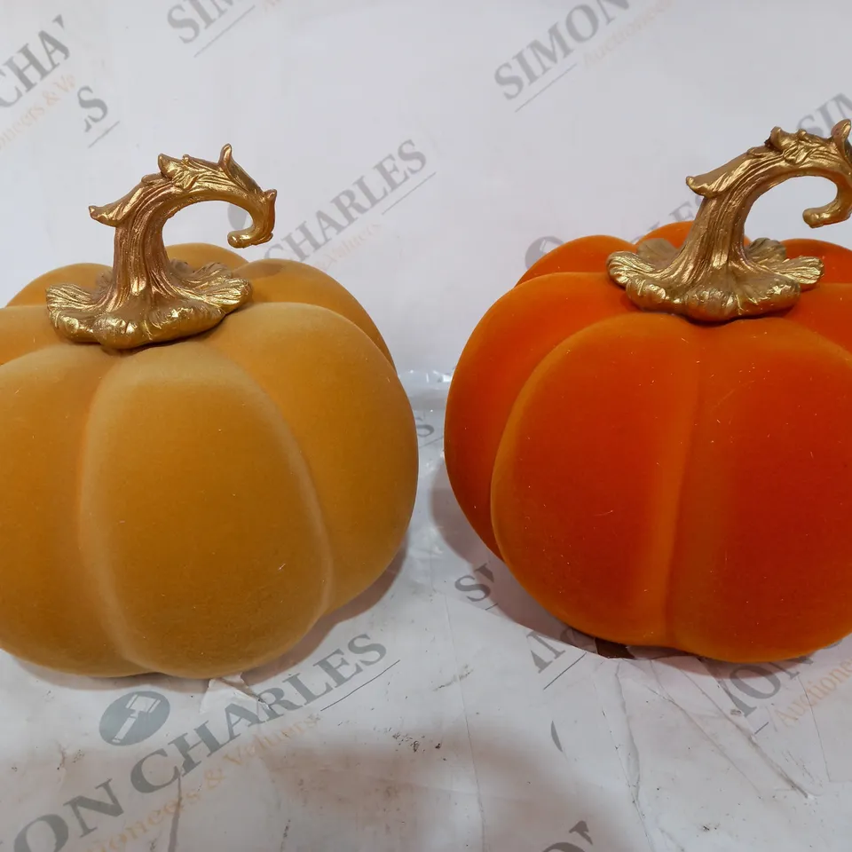 HOME REFLECTIONS SET OF 2 AUTUMN VELVET PUMPKINS