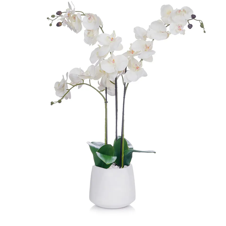 JM BY JULIEN MACDONALD MULTI STEM ORCHID IN WHITE GLAZED POT WHITE