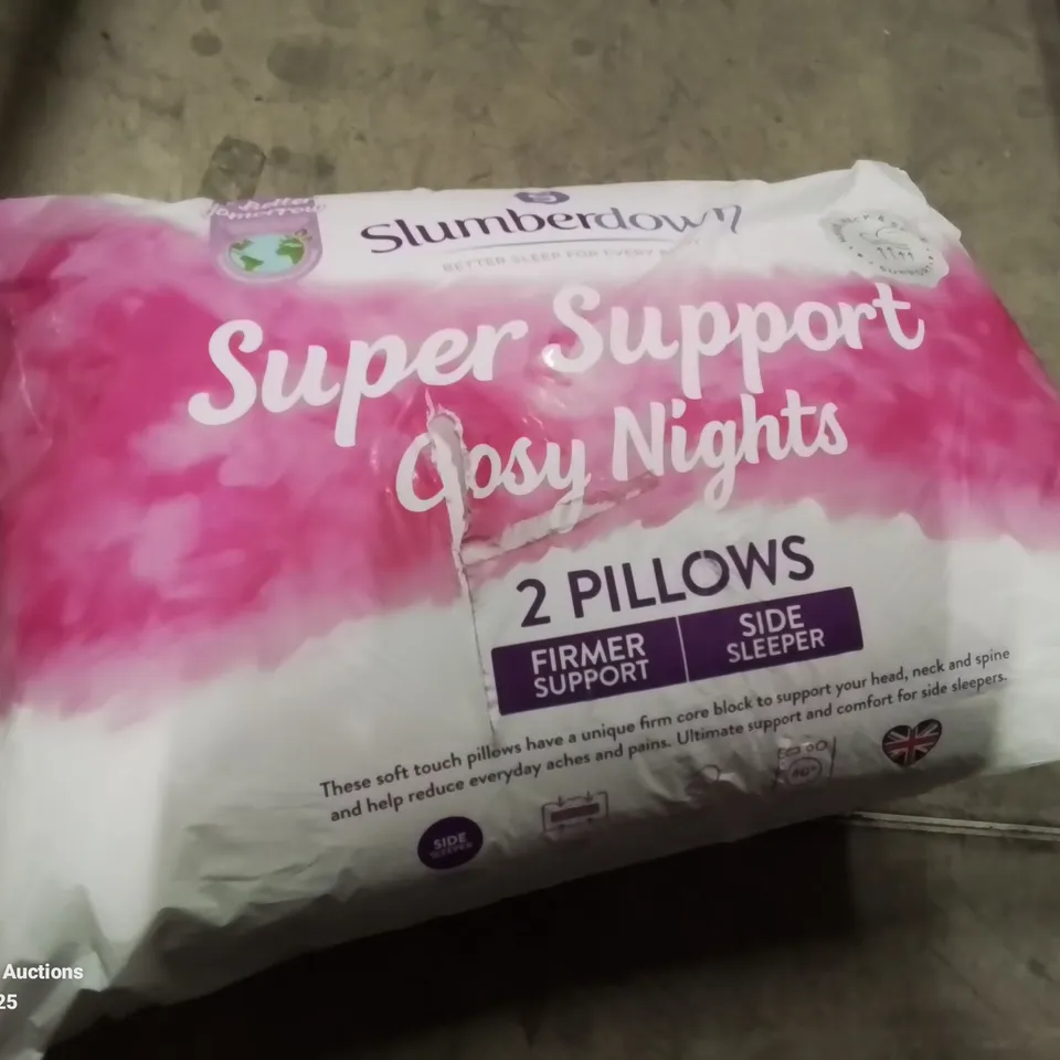 BAGGED PAIR OF SUPER SUPPORT COSY NIGHTS PILLOWS