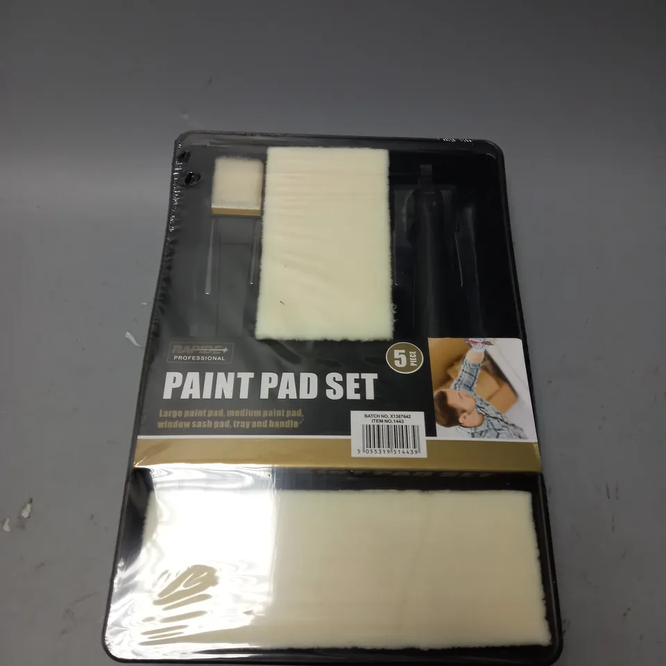 BOX OF APPROX 12 RAPIDE PAINT PAD SET 5 PIECE SET 