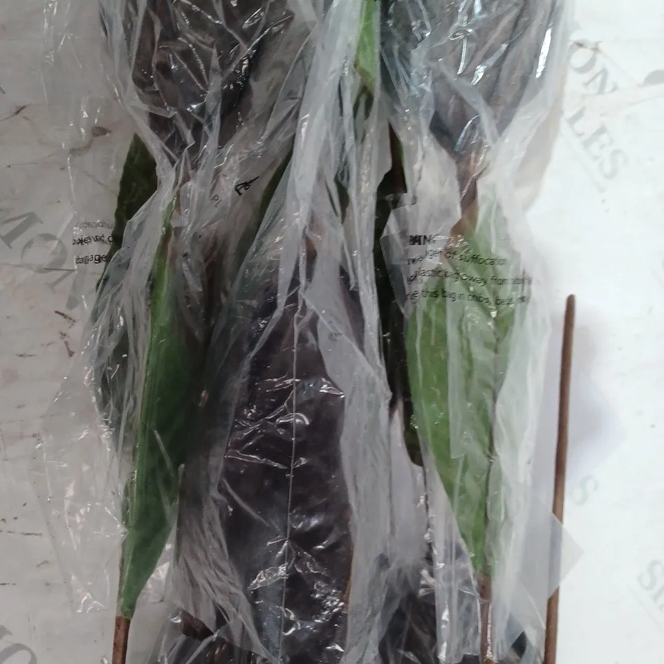 HOME REFLECTIONS SET OF 6 OVERSIZED MAGNOLIA FLOWERS