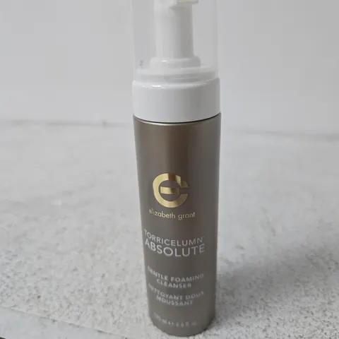 ELIZABETH GRANT TORRICELUMN ABSOLUTE GENTLE FOAMING CLEANSER- 195ML