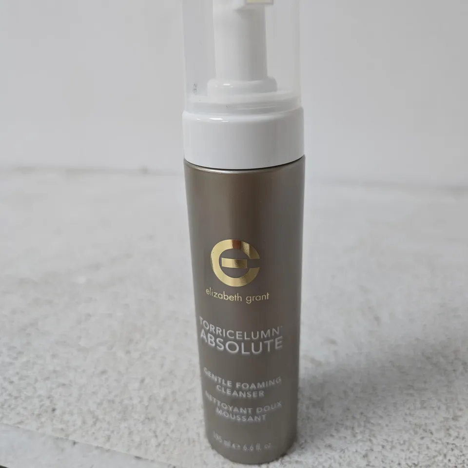 ELIZABETH GRANT TORRICELUMN ABSOLUTE GENTLE FOAMING CLEANSER- 195ML 