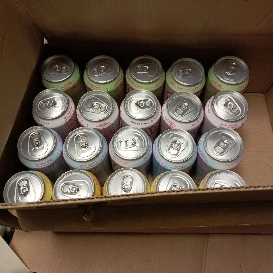 24X CACTO SPARKLING DRINK 330ML ASSORTED FLAVORS 