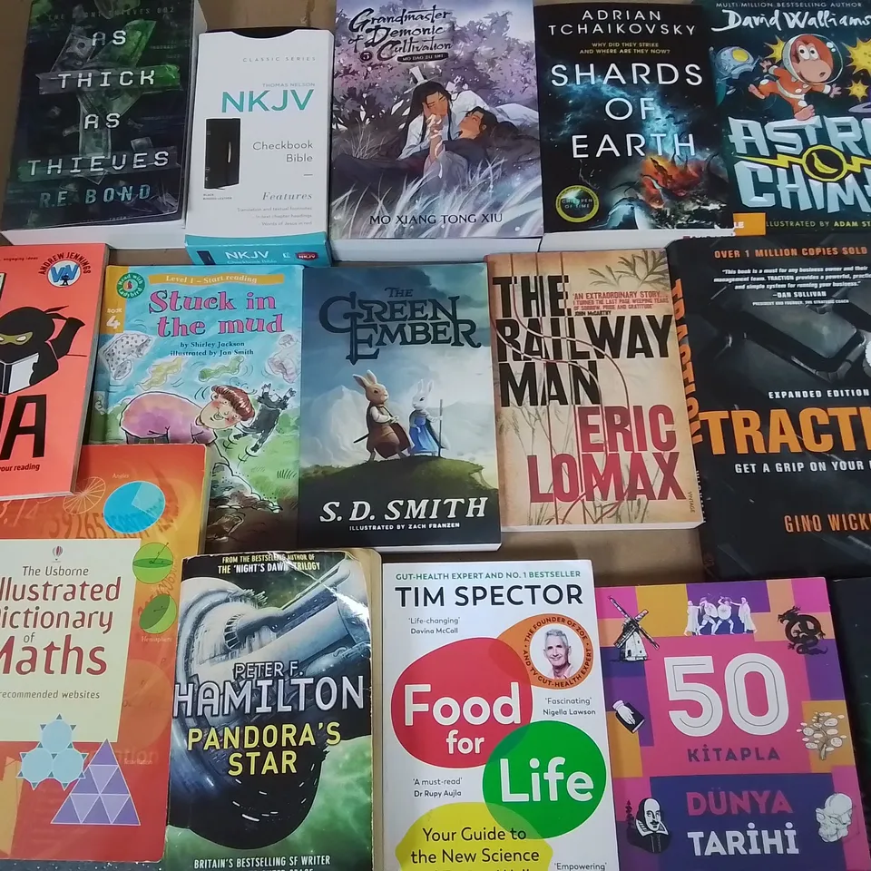 LARGE QUANTITY OF ASSORTED BOOKS TO INCLUDE SHARDS OF EARTH, LOVE TRIANGLE AND BLUEY ACTIVITY BOOKS  - COLLECTION ONLY