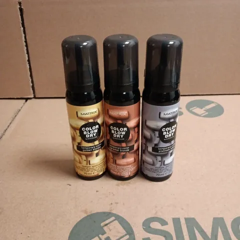 APPROXIMATELY 22 X ASSORTED MATRIX COLOR BLOW DRY HAIR CARE PRODUCTS TO INCLUDE PLATINUM SILVER, CARAMEL BLONDE ETC