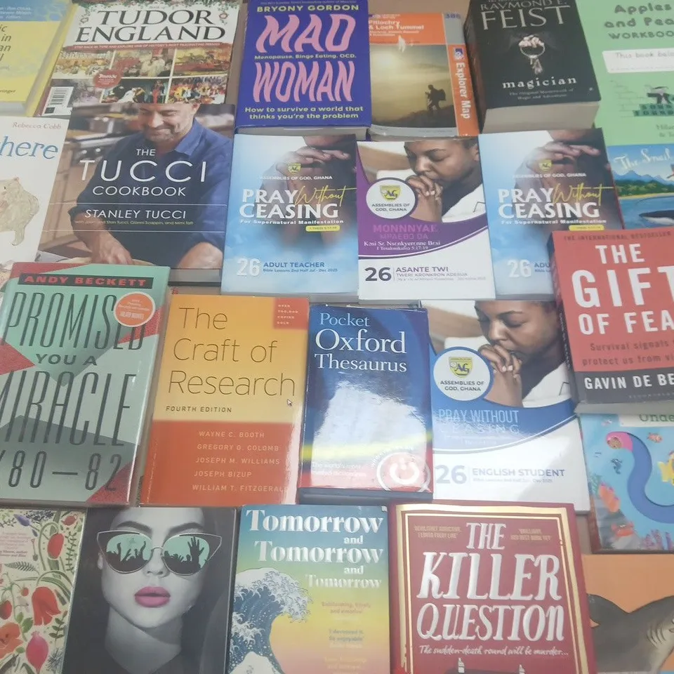 LARGE QUANTITY OF ASSORTED FICTION & NON-FICTION BOOKS TO INCLUDE WORKS FROM ANDY BECKETT, JANICE HELLETT, STANLEY TUCCI, ETC - COLLECTION ONLY