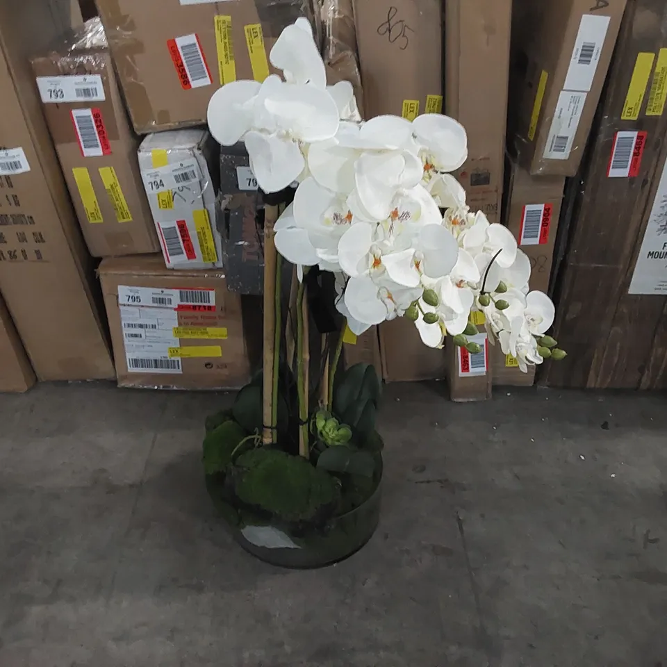 BOXED ARTIFICIAL ORCHID ARRANGEMENT IN GLASS VASE (1 BOX)