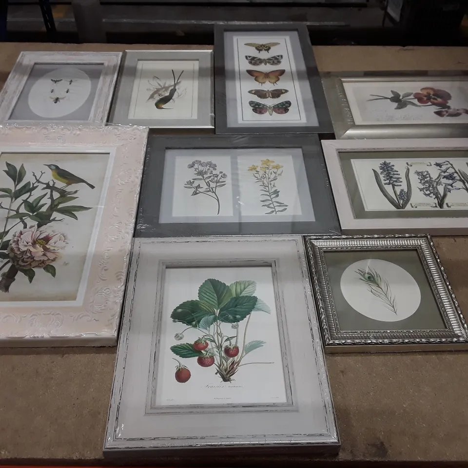 BOXED BOTANICAL COLLECTION - 9 PIECE SINGLE PICTURE FRAME ART PRINTS