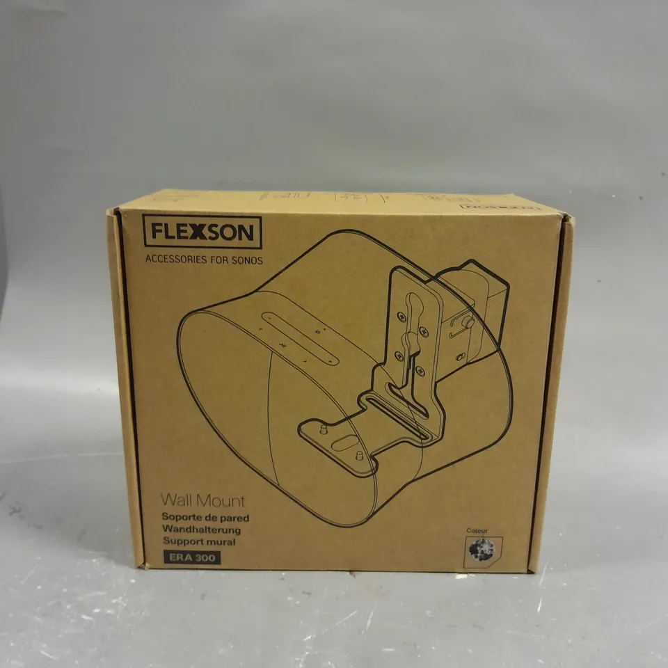 FLEXSON WALL MOUNT ERA 300
