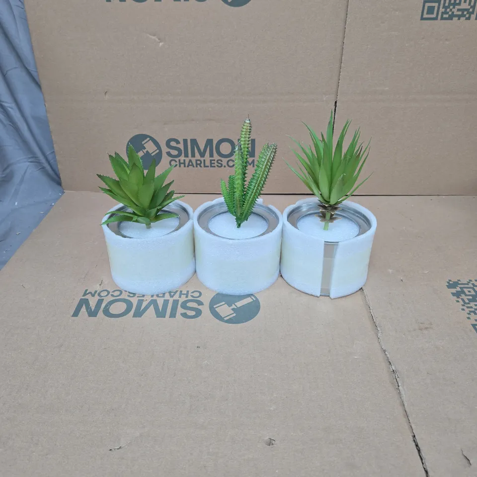 KITZINI HOME STYLING 3 X DECORATIVE PLANTS UNBOXED
