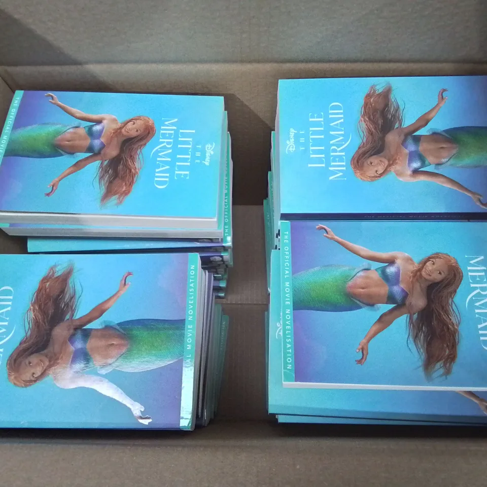 LOT OF APPROXIMATELY 70 DISNEY THE LITTLE MERMAID BOOKS