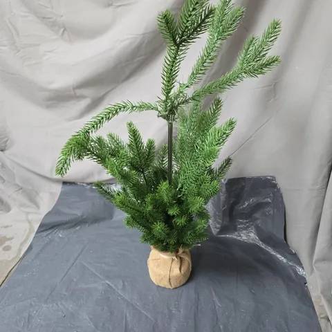 BOX OF APPROXIMATELY 12 ASSORTED HOUSEHOLD PRODUCTS INCLUDING SMALL CHRISTMAS TREE , SPORTS ODOUR ABSORBER AND DEBBIE BLISS