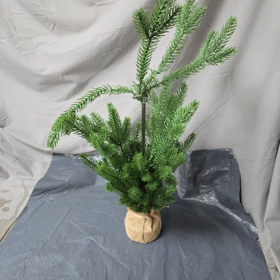 BOX OF APPROXIMATELY 12 ASSORTED HOUSEHOLD PRODUCTS INCLUDING SMALL CHRISTMAS TREE , SPORTS ODOUR ABSORBER AND DEBBIE BLISS 