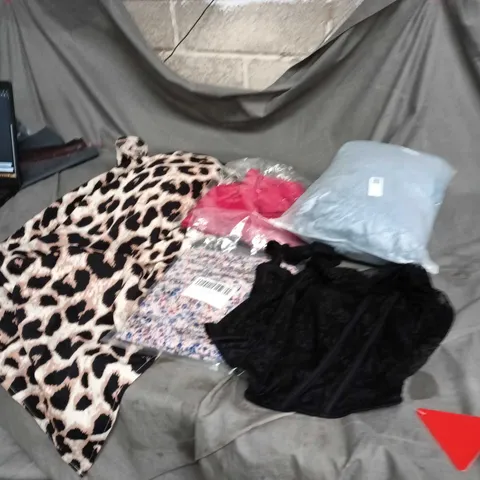 MIXED WOMEN'S CLOTHING & ACCESSORIES LOT – LEOPARD PRINT & BLUE GARMENTS APROXINMATLEY 35 ITEMS BOXED ITEM