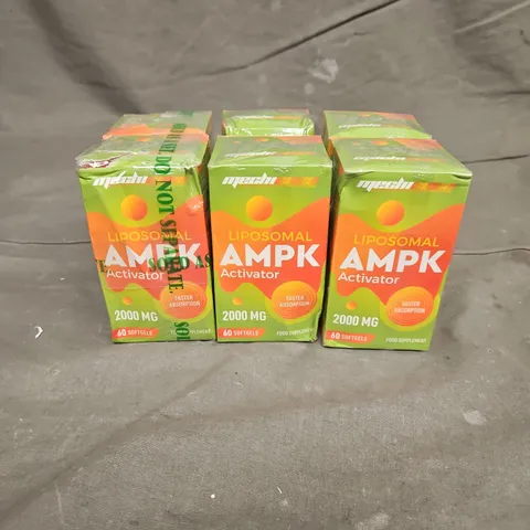 LOT OF 6 MECHICOCO LIPOSOMAL AMPK ACTIVATOR 2000MG FOOD SUPPLEMENT 60 SOFTGELS
