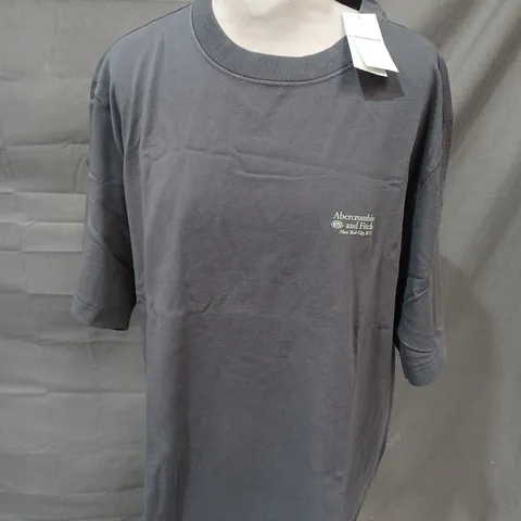 ABERCROMBIE & FITCH OVERSIZED POLISHED TEE IN GREY - L