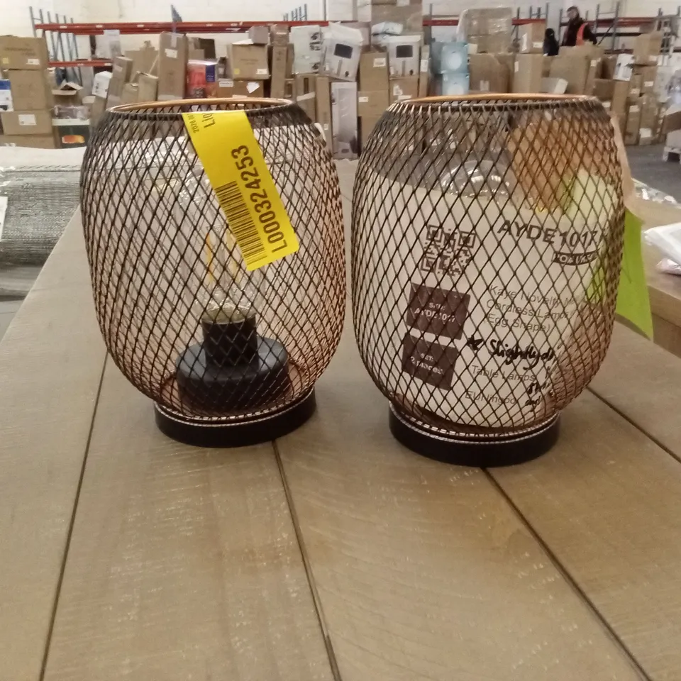 KAYE NOVELTY METAL CAGE CORDLESS LAMPS WITH LED BULBS 2PC